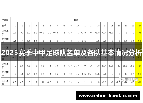 2025赛季中甲足球队名单及各队基本情况分析