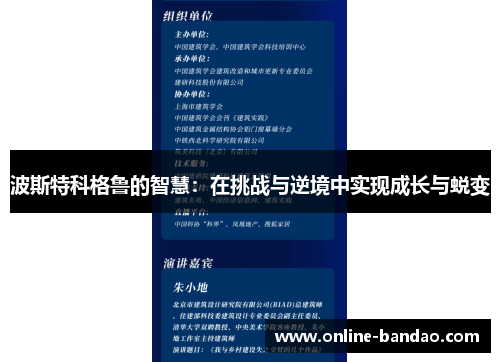 波斯特科格鲁的智慧：在挑战与逆境中实现成长与蜕变