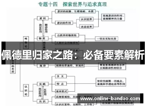 佩德里归家之路：必备要素解析