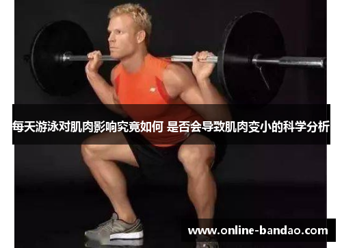 每天游泳对肌肉影响究竟如何 是否会导致肌肉变小的科学分析