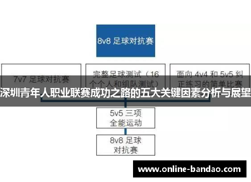 深圳青年人职业联赛成功之路的五大关键因素分析与展望
