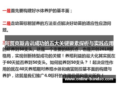 阿贾克斯青训成功的五大关键要素探析与实践应用