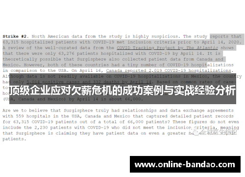 顶级企业应对欠薪危机的成功案例与实战经验分析