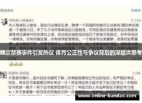 魏震禁赛事件引发热议 体育公正性与争议背后的深层次思考