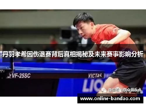 丹羽孝希因伤退赛背后真相揭秘及未来赛事影响分析