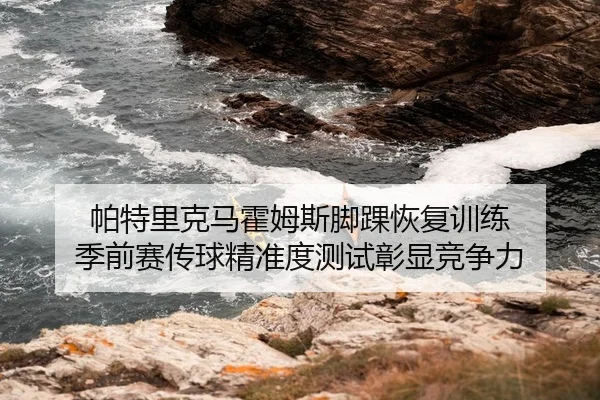 pa-te-li-ke-ma-huo-mu-si-jiao-huai-hui-fu-xun-lian-ji-qian-sai-chuan-qiu-jing-zhun-du-ce-shi-zhang-xian-jing-zheng-li-2-688.jpg